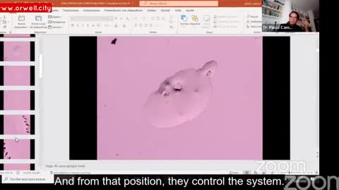 Subarcl La Quinta Columna Dr. Pablo Campra on DNA crystals in COVID vaccines