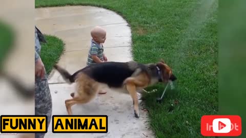 Cat vs baby#viral#funny animal