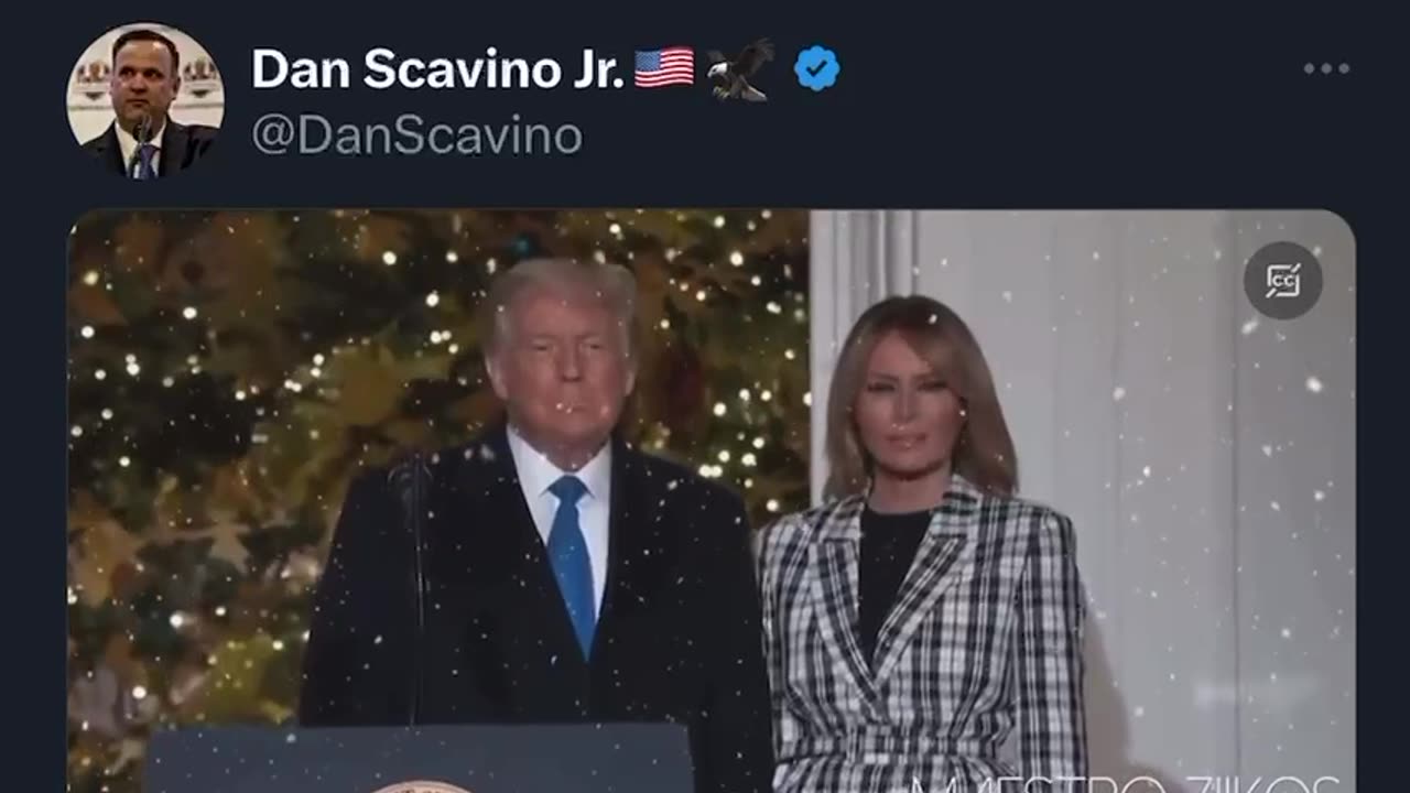 SCAVINO POST~DJT COMM EVERYBODY HAS A GOOD TIME AT CHRISTMAS IT’S TRUE