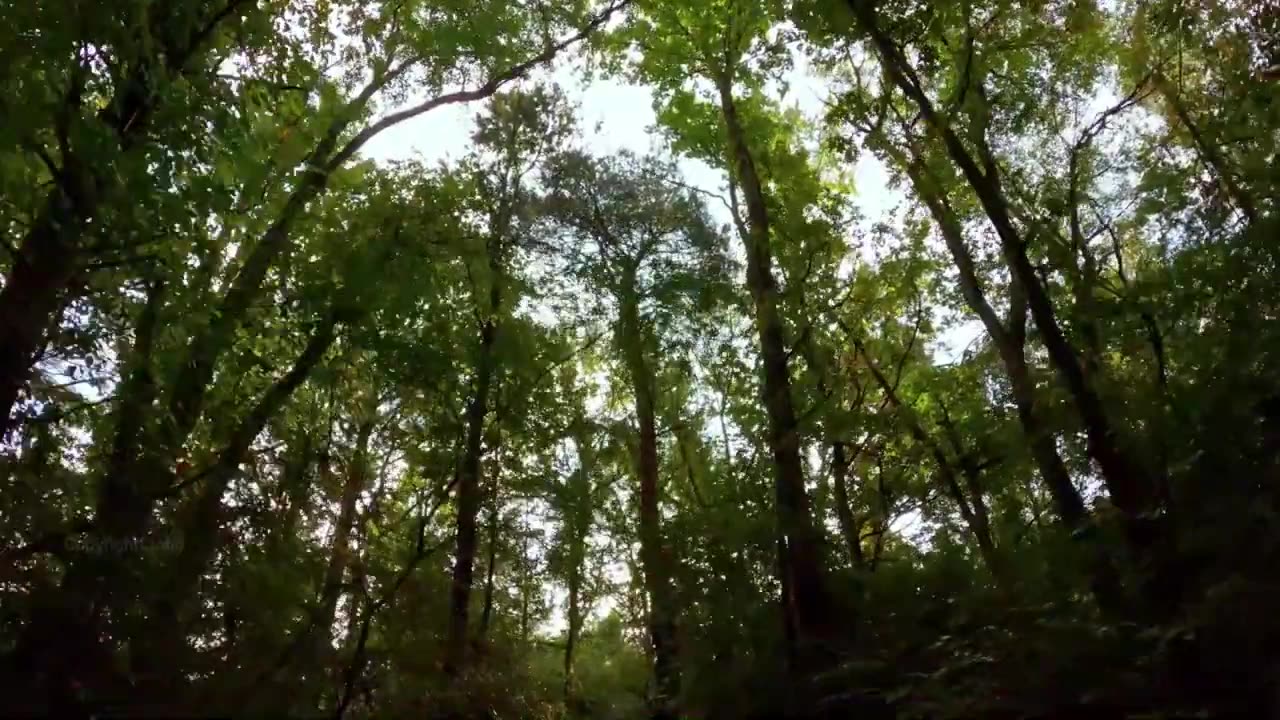 Nature views in 4K Ultrahd