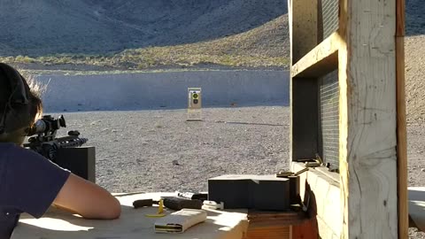 Tannerite and car horns