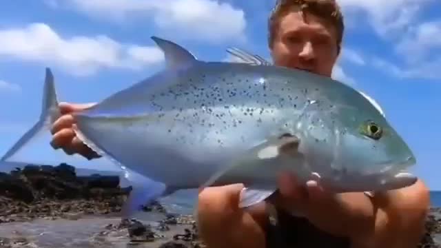 This is a beautiful and charming water-dwelling species