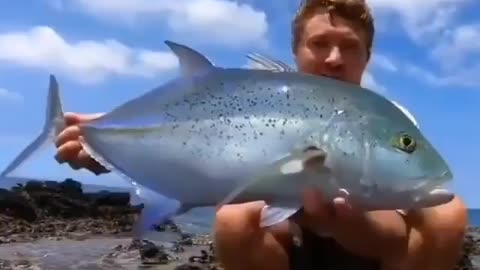 This is a beautiful and charming water-dwelling species