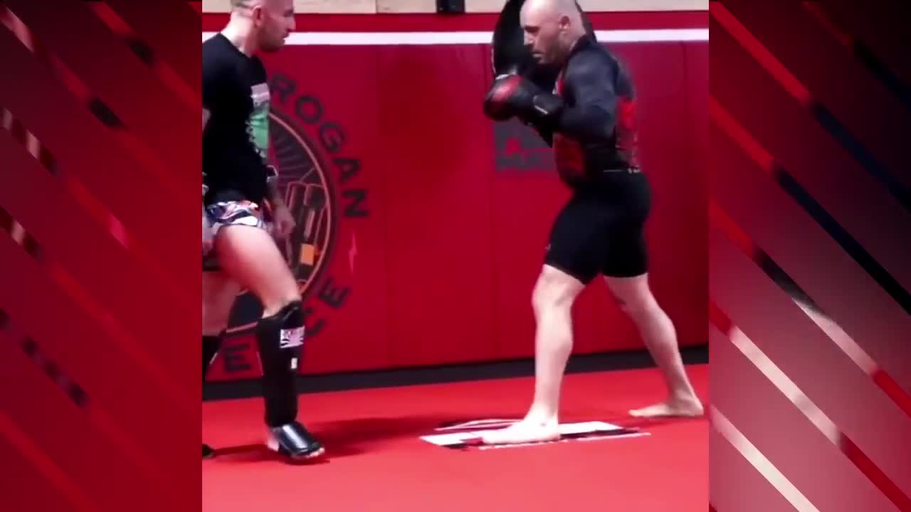 Joe Rogan Legs Joe Rogan BREAKS Ngannous WORLD RECORD Insane Leg Kicks