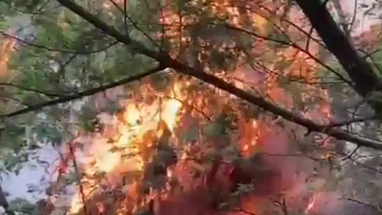 Incendio El Cable, Bogotá