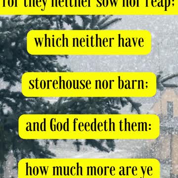 Luke 12:24 “Consider the ravens: for they neither sow nor reap;
