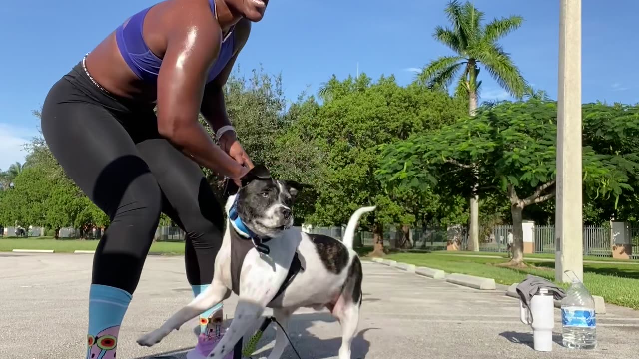 Off-Leash Dog Attacks Woman and Her Dog