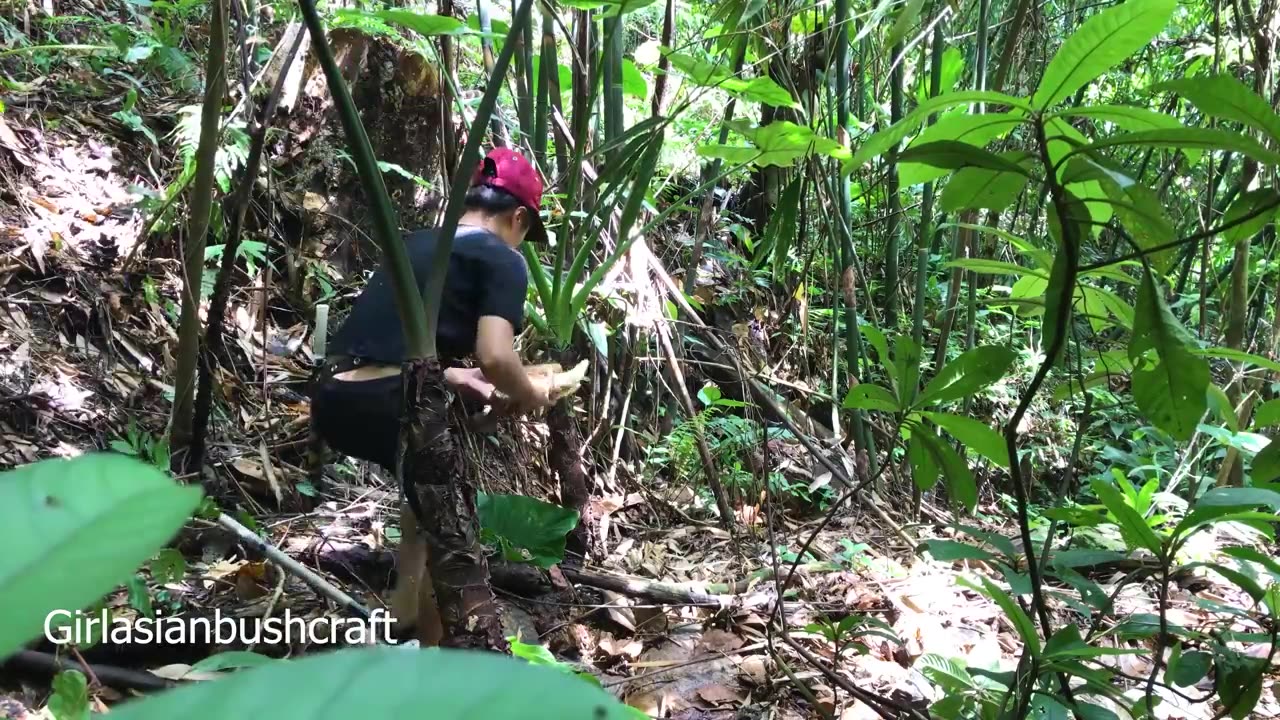 entire video An Asian girl's 60-day survival in the forest experience