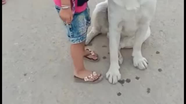 Little girl Kisses dog And He Kissed Back