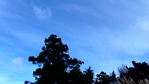 GEO-Engineering another storm 1/9/24: