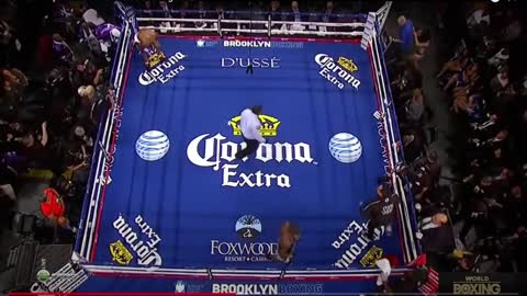 Technical Boxing break Down Hopkins vs Cloud round 6