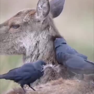 SUCCESS BLOCKERS - DAILY DEVOTIONAL ❤️