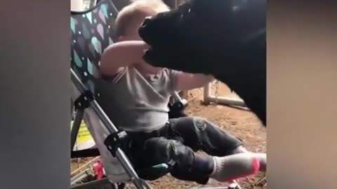 Babies and Fur Babies: A Match Made in Heaven
