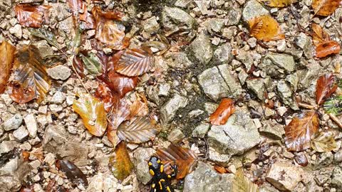 Just an awesome river