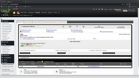 Lizzy CRM - Reviewing Customer Purchase History & A/R