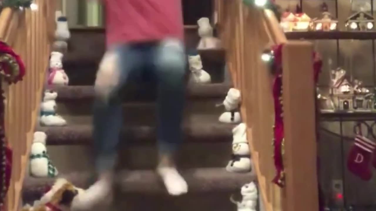 Funny For Life, The end 😂 #viral #shorts #funny #fails