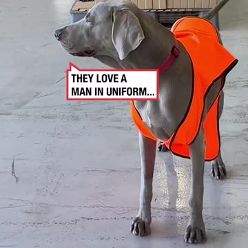 Meeting The New Warehouse Guy