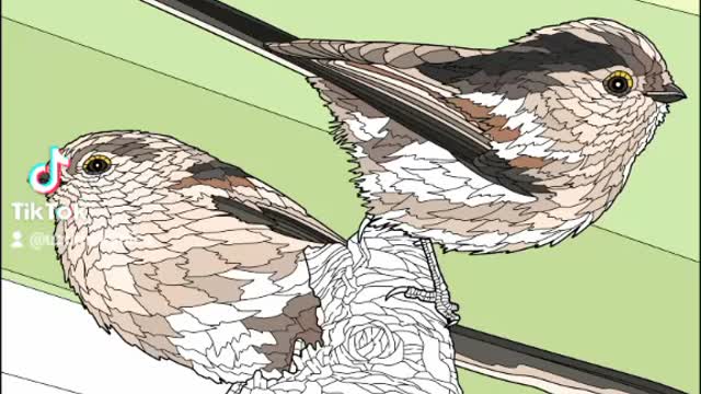 Coloring drawing #440