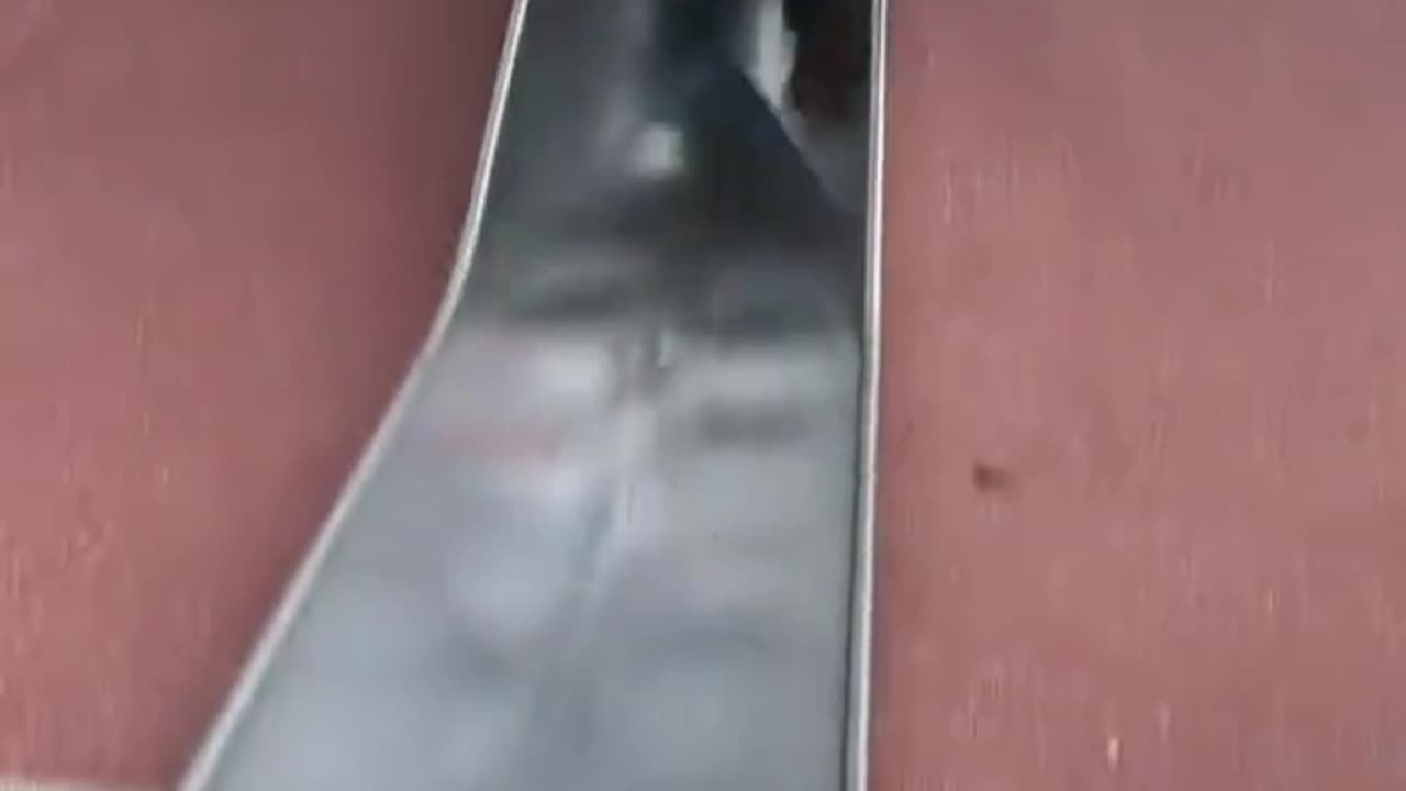 Cop gets knocked out with left hook