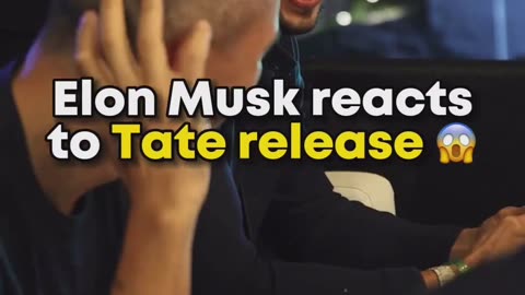 elon musk reacts to tate release
