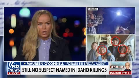 Former FBI special agent breaks down the chances of Idaho murder case going cold1