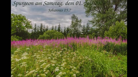 Spurgeon am Samstag, dem 01. Juli 2023