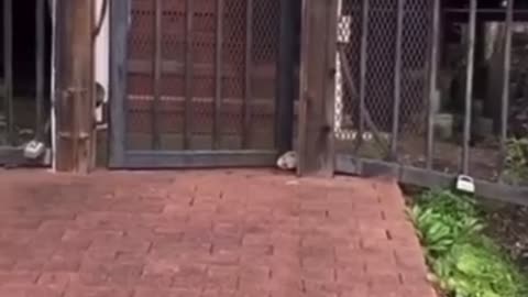 I can guess how she votes