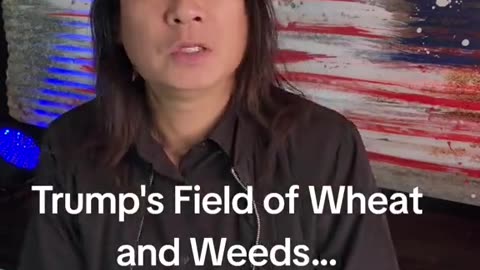 GENE HO~TRUMP’S FIELD OF WHEAT & WEEDS