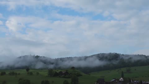 Lovely Fogging Landscape