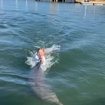 Swimming on the back of a Dolphin, happy Thanksgiving