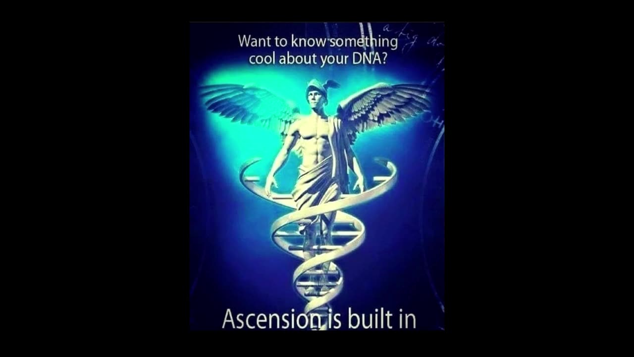 ASCENSION/ Earth Alliance & Patriot News/ W4T Narration