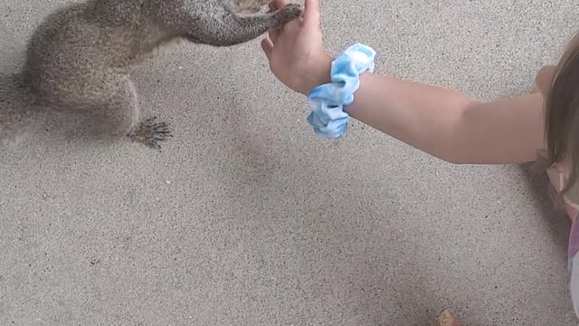 5-Year-Old Teaches Squirrel to High Five