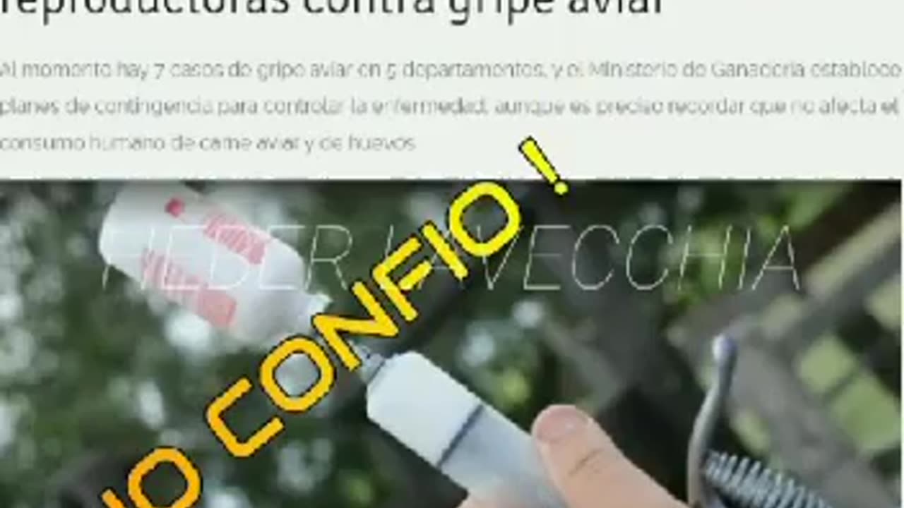 ASI ES COMO FABRICAN CRUELMENTE LA GRIPE AVIAR