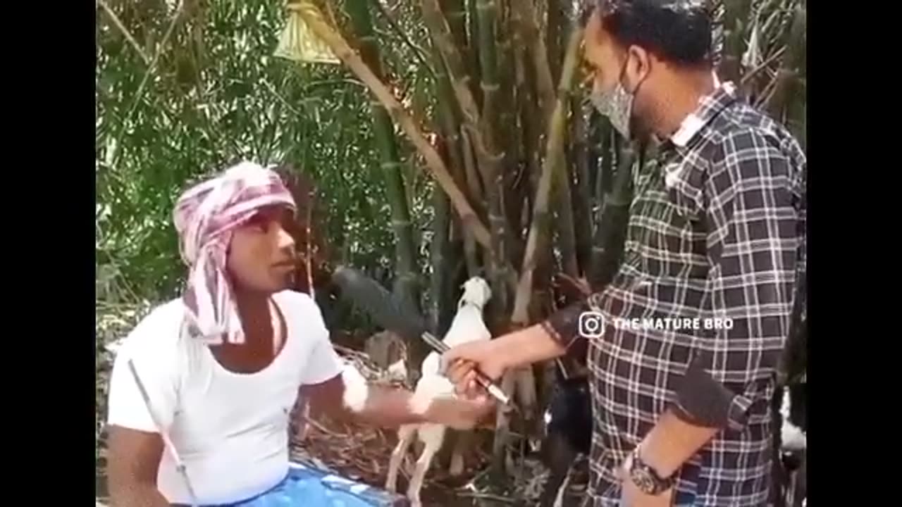 funny videos 2023