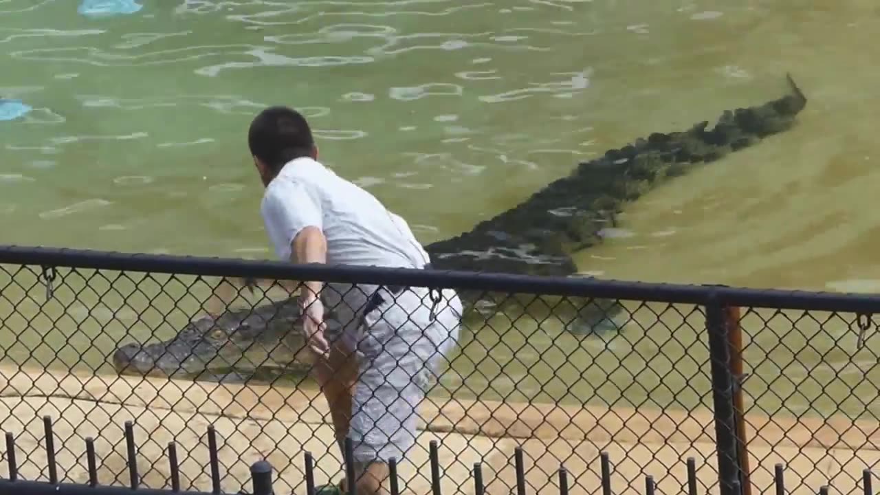 Steve Irwin Australia Zoo Part 2