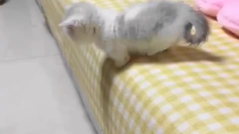 How much is a half of my kids to the kids to the kids