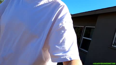 Feeding duck eggs to dogs