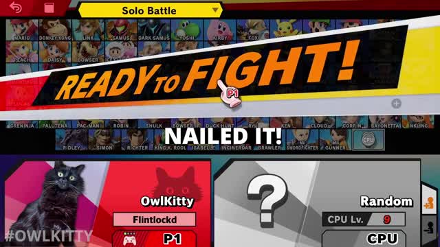 Super Smash Bros. + @OwlKitty (Behind the Scenes)