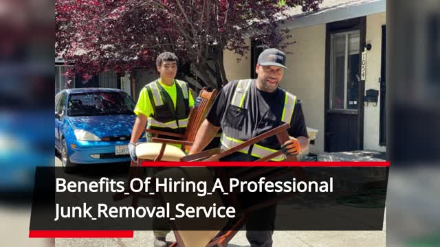 Junk Removal Services