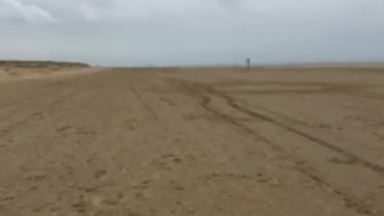 THIS MURDERING PLAN SHOULD OF ENDED YEARS AGO