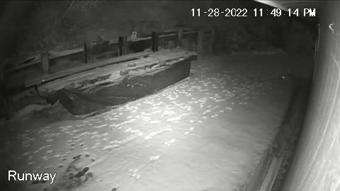 Bobcat is back.