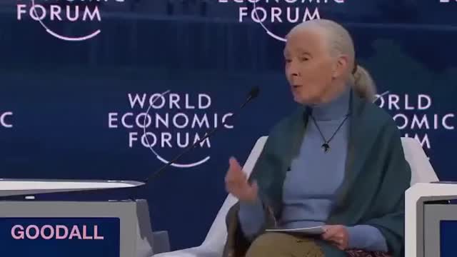 World Economic Forum: "We cannot hide away from human population..