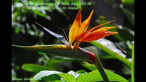 Sonntagsandacht für den 02. Oktober
