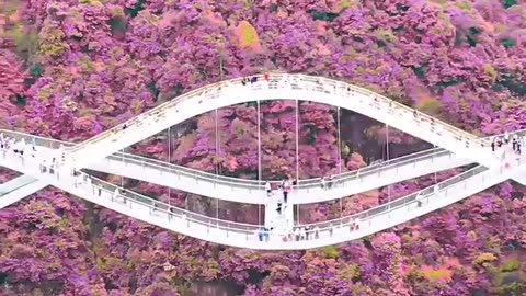 Uncover the Unparalleled Beauty of China's Most Captivating Destinations in 4K - A Visual Journey