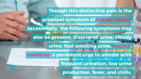 Guide To Understanding Kidney Stones