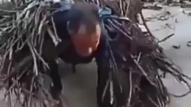 Bir insanın geçimini sağlamak için nasıl çalıştığına bakın