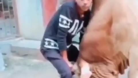 Did He Lose a Bet?