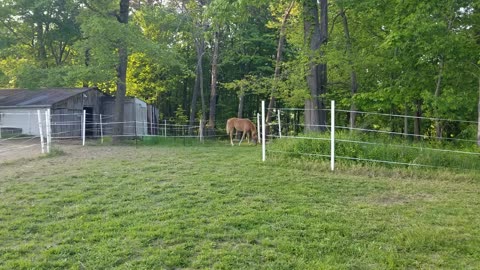 In and Out All by Himself 05/11/23