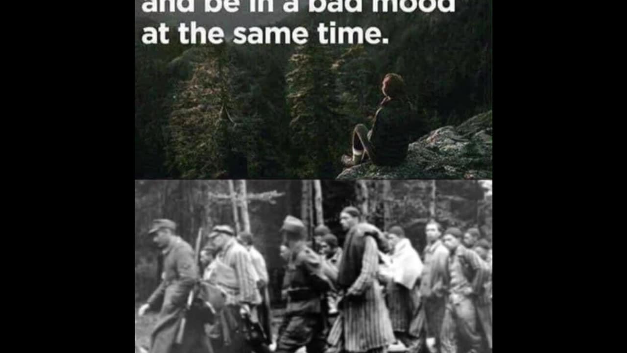 Random Memes 307