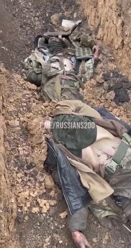 What They Left Behind 3